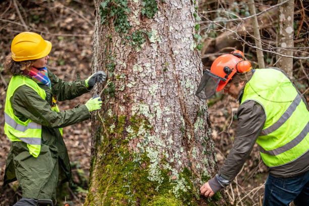 Best Seasonal Cleanup (Spring/Fall)  in Ephrata, PA